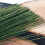 Grüner Blumendraht, 18 Gauge, 24 Zoll, 100 Stück 2