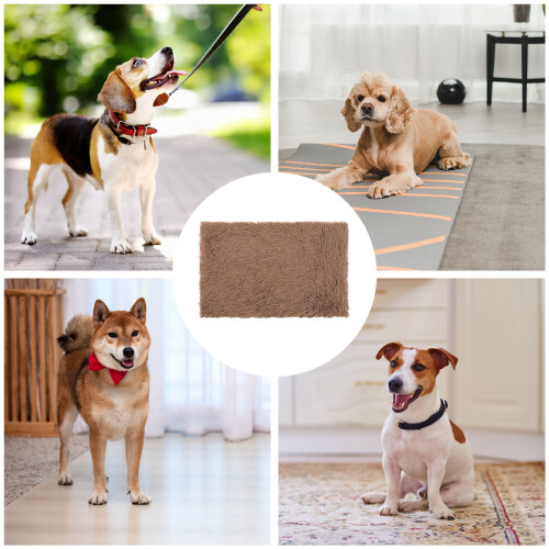 Couverture d'hiver chaude pour chien, tapis quatre saisons 2