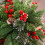 Lssam Lighted Artificial Christmas Urn Filler 1 pc 7
