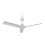 Ventilatore da soffitto portatile Capino 5V USB, mini ventilatore per campeggio e camper 3