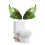 YANHAIGONG Fish Ceramic Toilet Bolt Caps 2pc 1