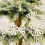 Silver snowflake ornaments for Christmas tree 12 pcs 6