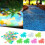 Luminous Stone for Fish Tank Garden 1 cm 4