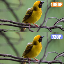 1080P Vogelvoedercamera op Zonne-, Laag Stroomverbruik, Nachtzicht, IP66 Waterdicht, 2.4G Wifi-Camera, aan Te Sluiten op de Voederautomaat