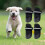 Chaussures pour chiens - Douces, antidérapantes et lavables, en maille. 4