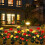 Rosette solari a LED per giardino esterno (confezione da 2) 5