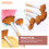 5Pcs Portable Paint Brushes Multi-function Fan Brushes Professional Watercolor Brushes 3