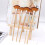 5Pcs Portable Paint Brushes Multi-function Fan Brushes Professional Watercolor Brushes 4