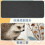 Mousepad com estampa de ouriço e cogumelo para todos os tipos de mouse, 61 x 30 cm (24 x 12 polegadas). 4