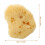 FOMIYES makeup sponges random shapes 10 pcs 2