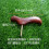 Walking Cane Handle Handmade Wood Knob Outdoor 1