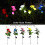 Rosette solari a LED per giardino esterno (confezione da 2) 8
