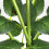 Rosette solari a LED per giardino esterno (confezione da 2) 6
