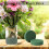 Blocos de espuma floral verdes redondos de 6,5 polegadas (pacote com 4) 2
