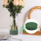 Blocos de espuma floral verdes redondos de 6,5 polegadas (pacote com 4) 4