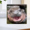 Calendrier Moo Deng Hippopotame Pygmée Mural ou de Table 12 mois 7