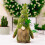 Stuffed Animal Set Dinosaur Kitty Bear 4 pcs 2