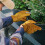 Luvas de jardinagem Aurora Trade em couro sintético resistente (par) 3