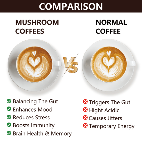 Svampkaffe med sömnsuperfoods 355 ml 1