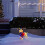 Christmas Lighted Animal Decorations Outdoor Patio 4