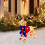 Christmas Lighted Animal Decorations Outdoor Patio 6