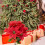 Artificial Poinsettia Bushes White35cm4Pack 7