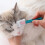 Spazzola a forma di testa di gatto per croste oculari e macchie lacrimali 4