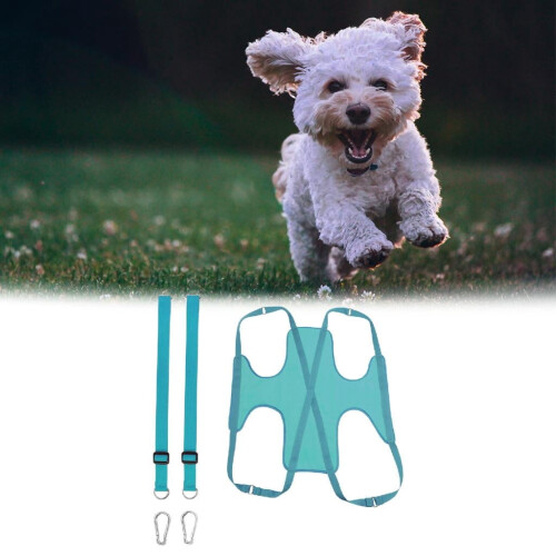 Rede de higiene para cães e gatos, azul 2