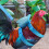 Pet traction rope for chickens1piece 7