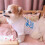 gilet fin d'été style tutu pour petits chiens 7