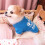 gilet fin d'été style tutu pour petits chiens 5