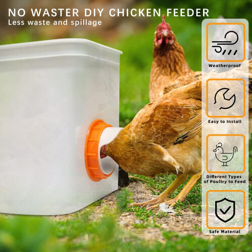 Automatic Poultry Feeder8-Port Weatherproof Orange 1