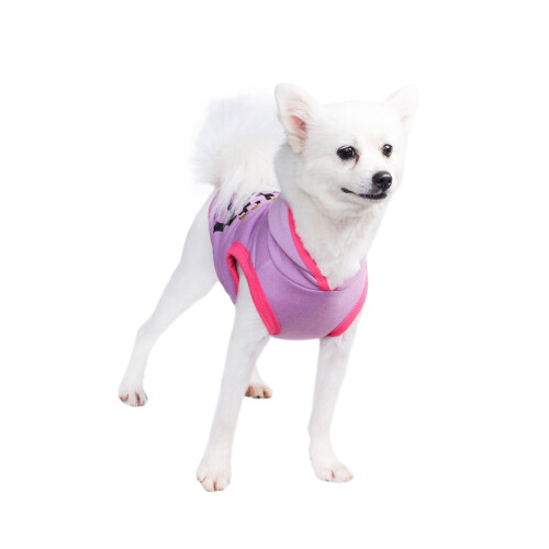 Pull léger à capuche pour chien, idéal pour l'hiver et l'automne, petite taille. 2