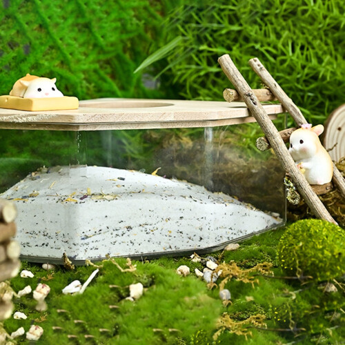 AURORA TRADE acrylic small pet sand bath box for hamsters, 2