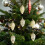 Torchons de cuisine de Noël motif vitrail 90 cm 3