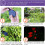 Solar-Rosenblumen-Lichterkette, 2er-Pack, für die Gartendekoration 6
