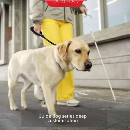 Nylonové reflexné ťažné lano pre psa, 60 cm 1