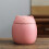 Cat-shaped ceramic storage containers with lids 3-pack 5