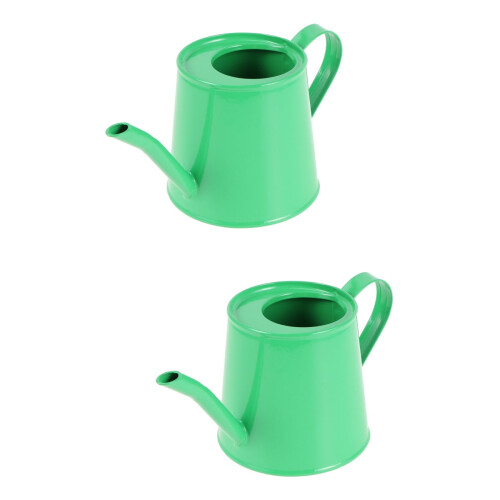 Mini arrosoir en fer vert (2 pièces)
