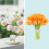 Support de tige d'ikebana en spirale gris grand 5