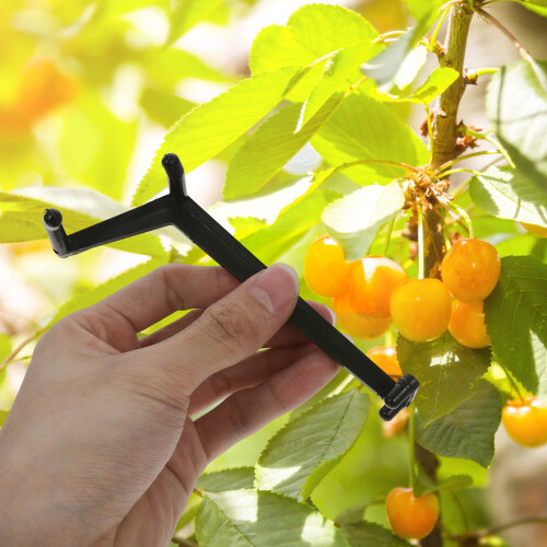 Écarteur de branches d'arbres fruitiers (50 pièces) 1