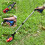 Garbage Claw Light Weight Super Long Sewer Cleaning Tool 2