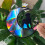 Pet memorial acrylic pendant window hanging 1 piece 4
