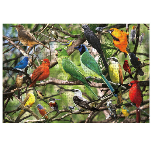 RRSCC 500-Piece Jigsaw Puzzle for Adults 1