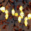 Luzes de cordão com caveiras de Halloween da Capino, para uso interno e externo. 7