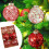 Kayannuo Weihnachtskugeln, transparent lackiert, 8 cm, 6 Stück 1