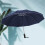 Portable Travel Umbrella Windproof Compact Design 1 Pack 6