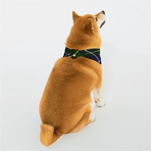 Lenço para cachorro xadrez ajustável e reversível, formato triangular (1 peça) 1