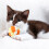 Soft Plush Cat Toy Ball with Bell 1.6 Inch 4