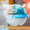 Hamster Sand Bath with Detachable Container for Small Pets 5